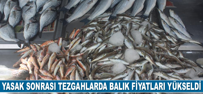 Yasak sonrası balık fiyatları yükseldi