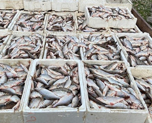 Kaçak balık avcılarına 31 bin lira para cezası kesildi