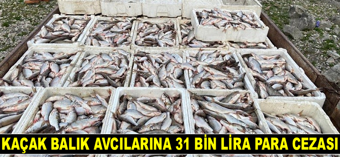 Kaçak balık avcılarına 31 bin lira para cezası kesildi