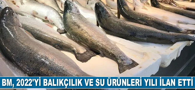 Birleşmiş Milletler, 2022’yi Balıkçılık ve Su Ürünleri Yılı ilan etti