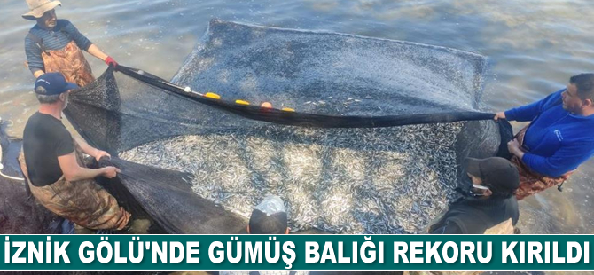 İznik Gölü’nde gümüş balığı rekoru kırıldı