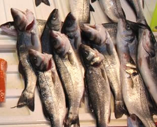 Ramazan ayında balık tüketimi azaldı