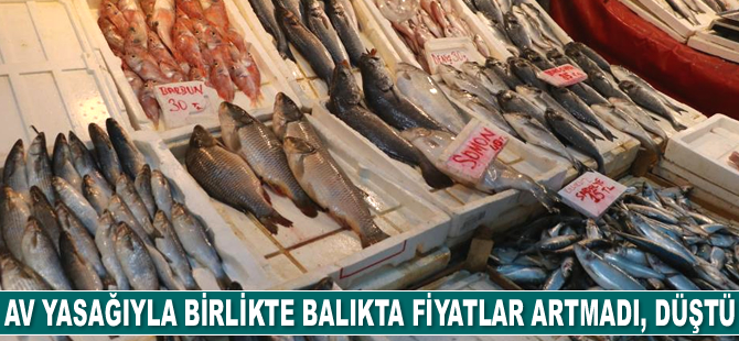 Av yasağı, Mersin'de balık fiyatlarına yansımadı