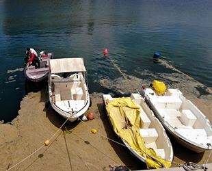 Deniz salyaları, balıkçıların kabusu oldu