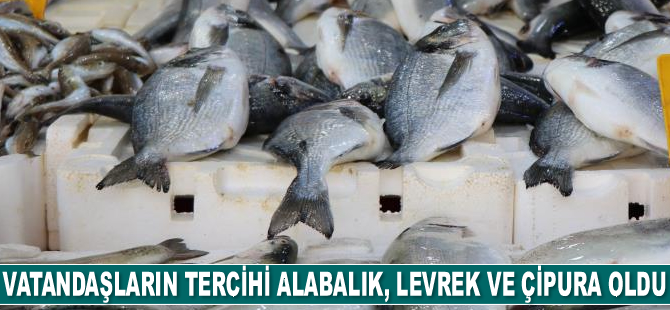 Vatandaşların tercihi alabalık, levrek ve çipura oldu