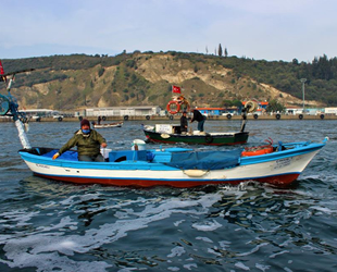 Kocaeli'den ava çıkan 6 tekne, kesilen ceza ile kıyıya döndü