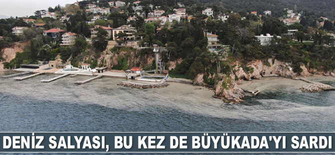 Büyükada'yı deniz salyası sardı
