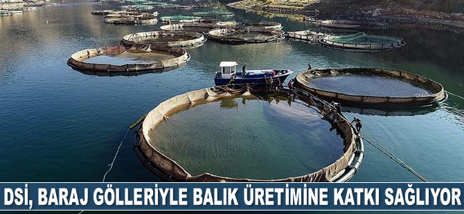 DSİ, baraj gölleriyle balık üretimine katkı sağlıyor