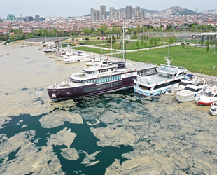 İstanbul'da deniz yüzeyinde oluşan beyaz tabaka kıyıya vurdu