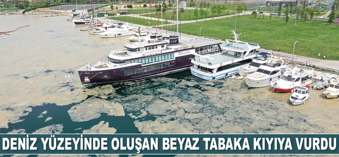 İstanbul'da deniz yüzeyinde oluşan beyaz tabaka kıyıya vurdu