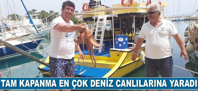 Tam kapanma deniz canlılarına yaradı