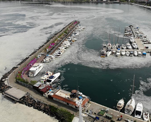 Çanakkale Boğazı, deniz salyası ile kaplandı
