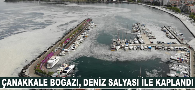 Çanakkale Boğazı, deniz salyası ile kaplandı