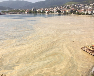 Marmara’daki deniz salyasına karşı çalışma başlatıldı