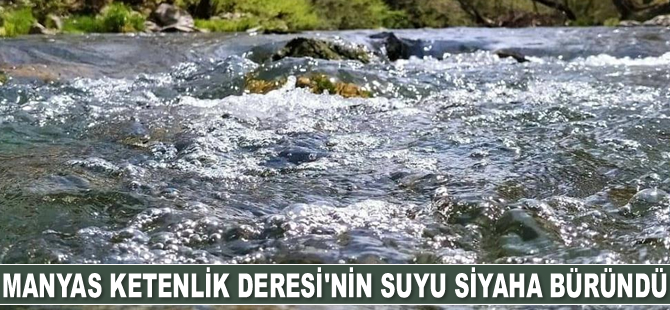 Manyas Ketenlik Deresi'nin suyu siyaha büründü