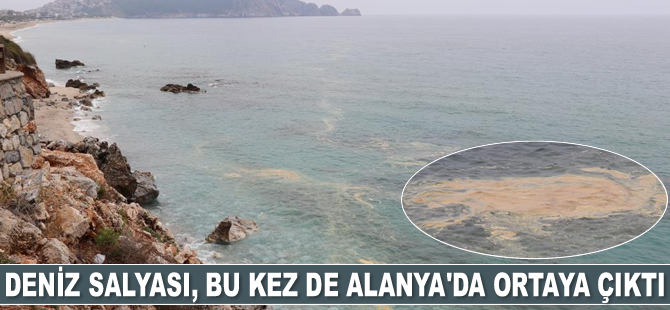 Deniz salyası, bu kez de Alanya’da ortaya çıktı