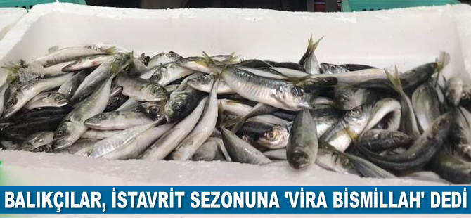 İstavrit, balıkçıların yüzünü güldürdü