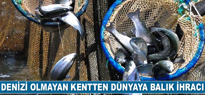 Manisa’dan 1 milyon dolarlık balık ihracatı gerçekleştirildi