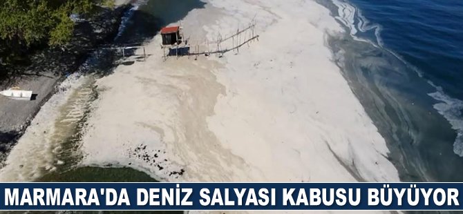 Marmara'da deniz salyası kabusu büyüyor