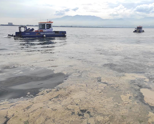 İzmit Körfezi’ndeki deniz salyası temizleniyor
