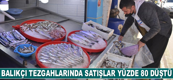 Sinop’ta balık satışları yüzde 80 düştü