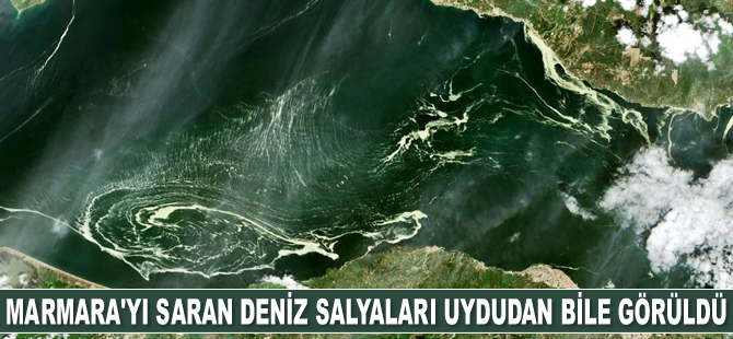 Marmara Denizi’ni saran deniz salyaları uydudan bile görüldü