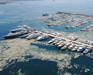 Pendik Marina’yı da deniz salyaları kapladı