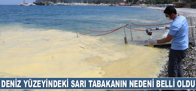 Deniz yüzeyindeki sarı tabakanın nedeni belli oldu