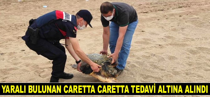 Adana'da yaralı bulunan caretta caretta tedavi altına alındı