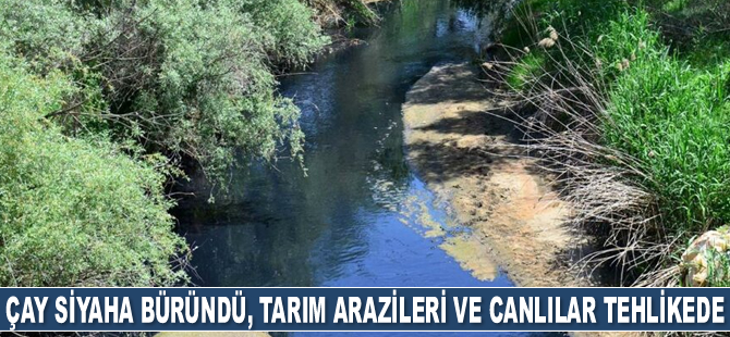 Alaşehir Çayı'nın siyaha bürünen rengi tedirginlik yarattı