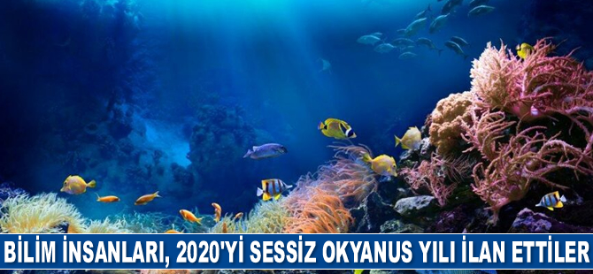 2020, okyanuslar için en sessiz yıl oldu