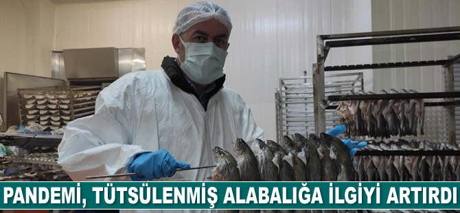 Pandemi, tütsülenmiş alabalığa ilgiyi artırdı