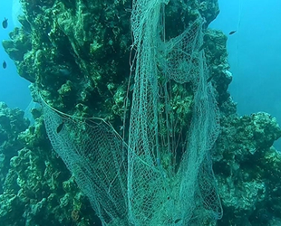 Denizlerden geçen yıl 10 bin metrekare hayalet ağ çıkarıldı