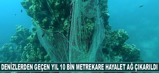 Denizlerden geçen yıl 10 bin metrekare hayalet ağ çıkarıldı