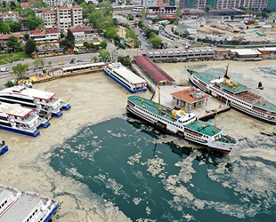 Deniz salyasına karşı kıyılarda sıkı denetim uygulanacak