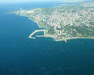 İzmit Körfezi'nden 100 ton deniz salyası toplandı