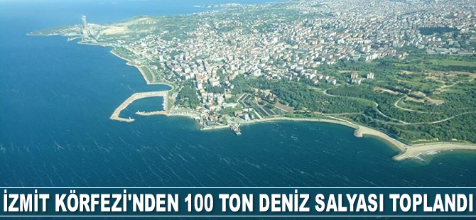 İzmit Körfezi'nden 100 ton deniz salyası toplandı