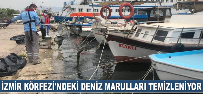 İzmir Körfezi'ndeki deniz marulları temizleniyor