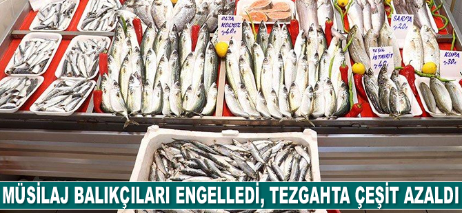 Deniz salyası balıkçıları engelledi, tezgahta çeşit azaldı