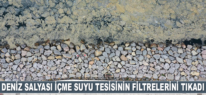 Deniz salyası içme suyu tesisinin filtrelerini tıkadı