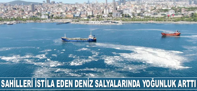 Kartal Sahili’nde deniz salyası etkisi artarak devam ediyor