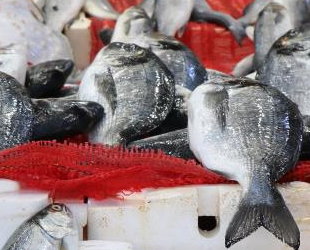 Balık satışları azaldı, fiyatlar düştü