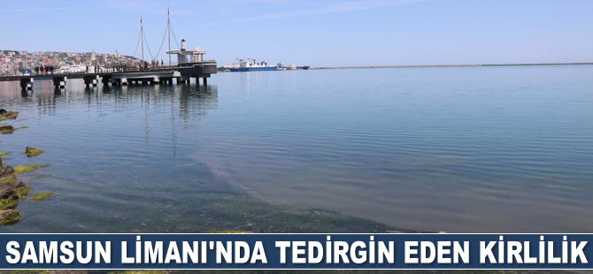 Samsun Limanı'ndaki kirlilik tedirginlik yarattı