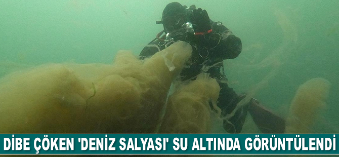 İzmit Körfezi'nde dibe çöken 'deniz salyası' su altında görüntülendi