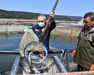 Manisa, su ürünlerinden önemli gelir elde ediyor