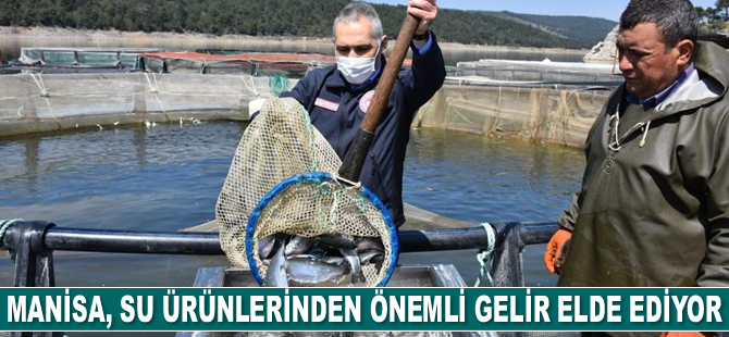 Manisa, su ürünlerinden önemli gelir elde ediyor