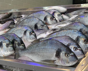 Türkiye'nin su ürünleri ihracatı 2020'de 1 milyar doları aştı