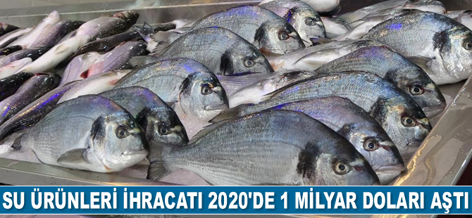 Türkiye'nin su ürünleri ihracatı 2020'de 1 milyar doları aştı