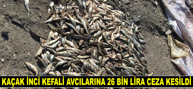 Kaçak inci kefali avcılarına 26 bin lira ceza kesildi