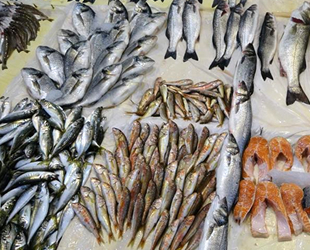 Balıkçı esnafı umduğunu bulamadı